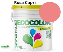 Cargar imagen en el visor de la galería, Pintura Ecológica ECODURABLE
