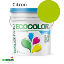 Cargar imagen en el visor de la galería, Pintura Ecológica LATEX
